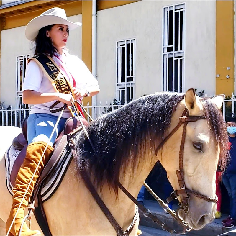 La Elegancia TV icon