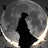 @Ahmed_3omar1