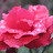 @SIMON-wh5hd