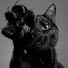 2Mz3t0Gy--Y-channel-avatar-Shopot Vereska