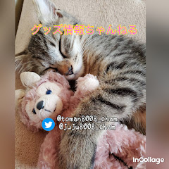 グッズ情報ちゃんねるアイコン画像