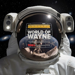 World of Wayne net worth