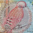 @World_Banknote_Collector