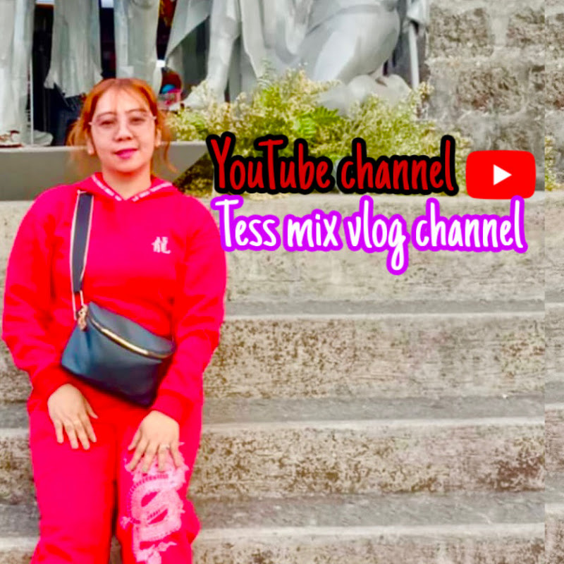 TESS MIX VLOG CHANNEL 