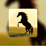 MrDskxv2SCI-channel-avatar-Rutas del Caballo