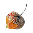 V5dIRKdE5A8-channel-avatar-Life.is.perplex