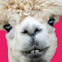 The laughing llama logo
