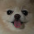 @후선생
