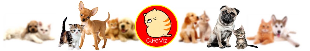CuteViz رمز قناة اليوتيوب