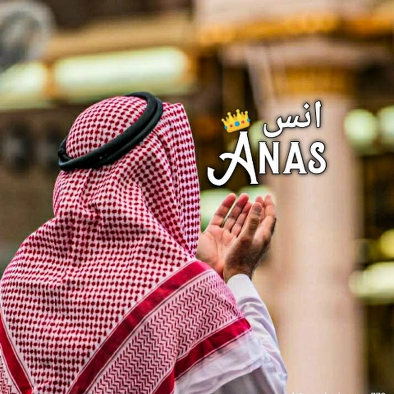 Anas Bin Shams 