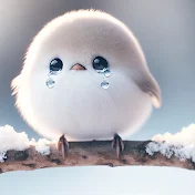 たくお金チャンネル