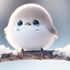 たくお金チャンネル