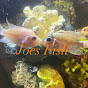 Joes Fish logo