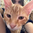 2fmBDmcIzFg-channel-avatar-gaby bee