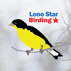 Lone Star Birding