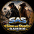QVb7WKlpSMk-channel-avatar-Slow and Steady Gaming Plus
