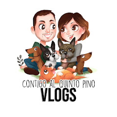 ContigoAlQuintoPino Vlogs net worth