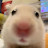 @rodents00
