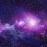 Nvka2rzu3aI-channel-avatar-Bellflowersimp