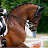 @spectacular_horse_Ruffian72-75
