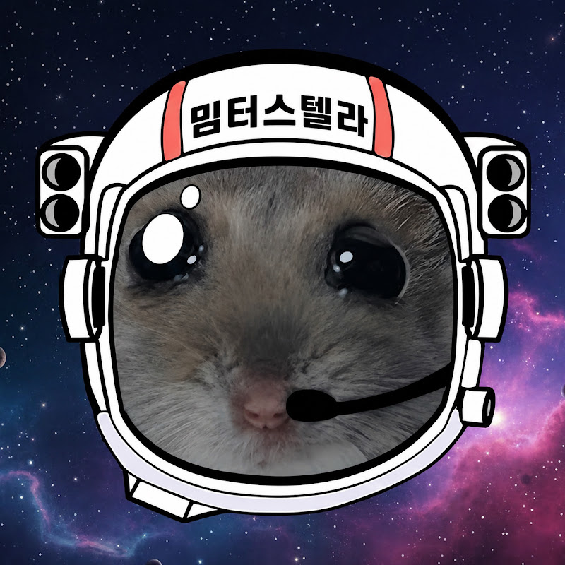 밈터스텔라 avatar