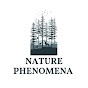 Nature Phenomena logo