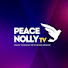 q8QnYm2tuyI-channel-avatar-Peace NollyTv 