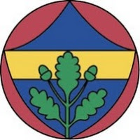 Profile Picture of Fener Analiz