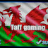 Sv7kZoR94KA-channel-avatar-Taff gaming