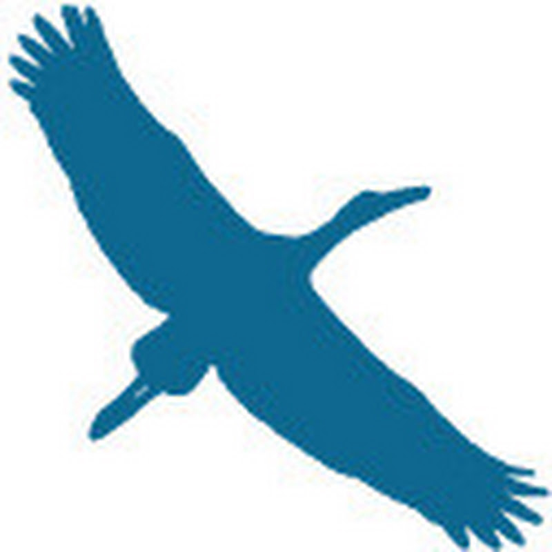 Storchwatching logo