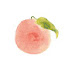 8LwcSU-g6Ng-channel-avatar-Peach_Record