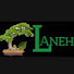 B9VrI9cpqQg-channel-avatar-LANEH