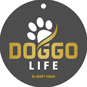 Doggo Life