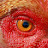 @Roleplay78's avatar