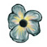 AYf9K79w7uY-channel-avatar-Fiore