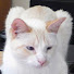 0-jx7ABV4k0-channel-avatar-with 6 pets and 7 boyfriends