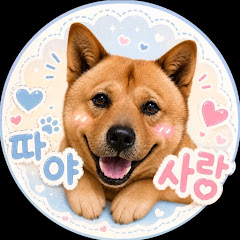 🐕따야 사랑🥰