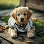 Golden Retriever Puppies logo