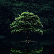 ZenForest