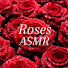 hLBlXKkbZSg-channel-avatar-Roses ASMR