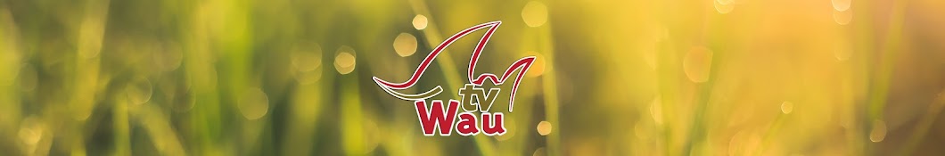 TV Wau رمز قناة اليوتيوب