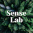 Sense Lab