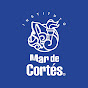 Instituto Mar de Cortés - @institutomardecortes9168 - Youtube