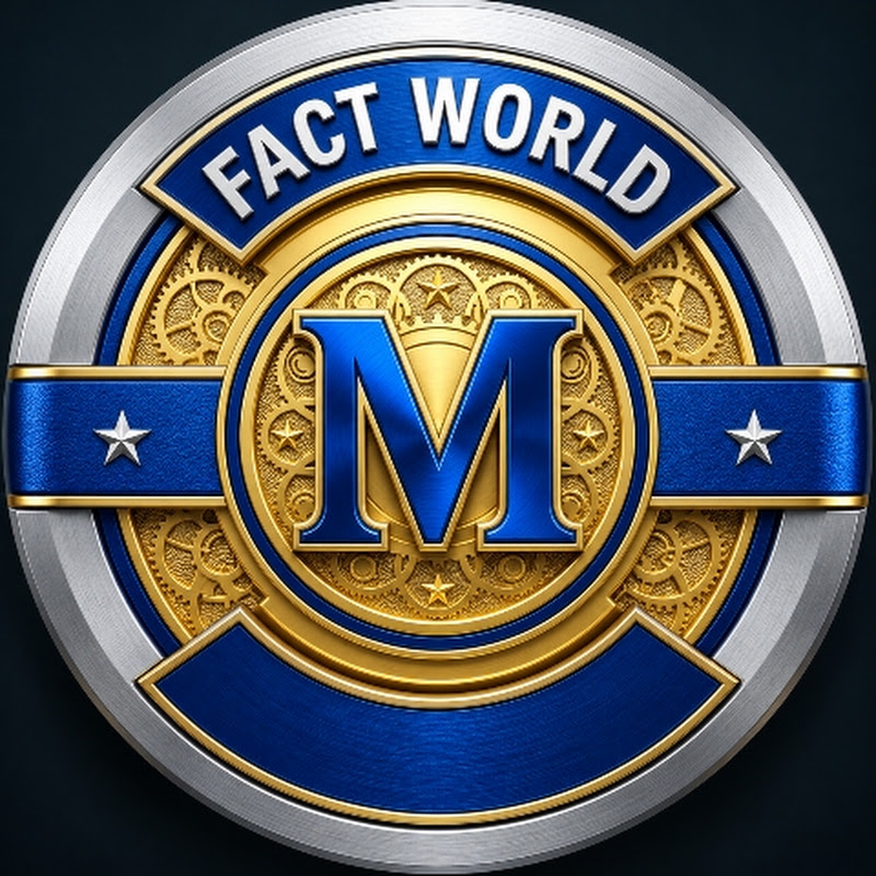 M-fact world 