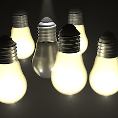 Blender Insight net worth