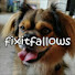 PmwZFglHoVU-channel-avatar-fixitfallows
