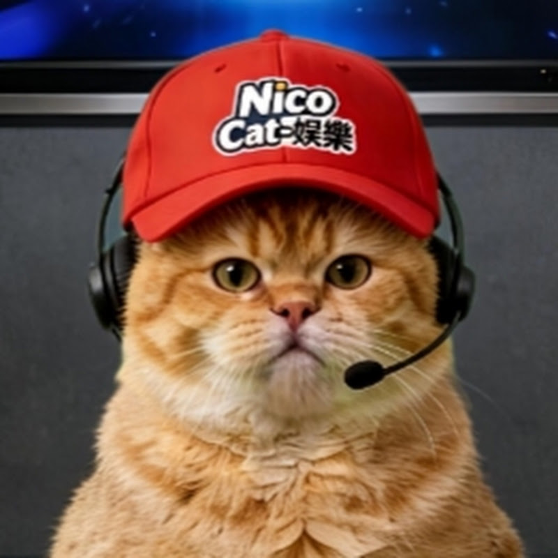 Nico Cat-娛樂