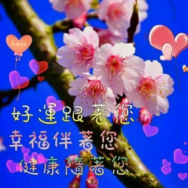 Vùng đất phù sa#Đăng ký