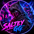xQO6Uy95Q7M-channel-avatar-Saltey GG 