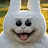 @AsafAlshayqi Avatar